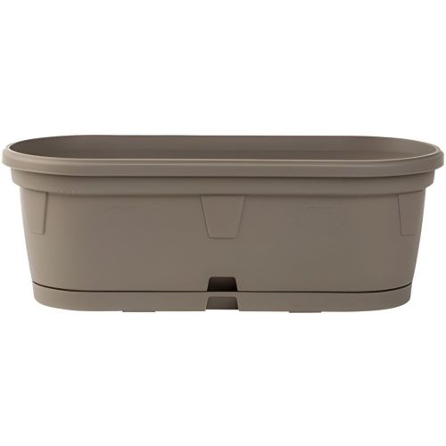 Сандъче гербер 20 см мока с подложка (1 бр.)