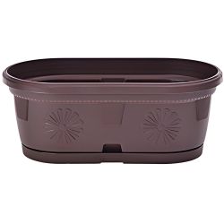 Сандъче гербер 35 см тъмнокафяво с подложка (1 бр.)